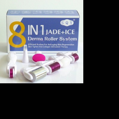 Flagship! Derma Roller 8 In 1 Hair Growth Derma Roller Kit Microneedle System Dermaroller Derma Roller